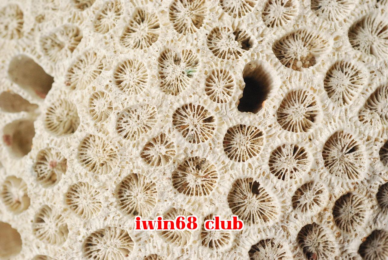 Featured image of post Giáo dục an ninh quốc gia cho sinh viên đại học đương đại ___ Đáp án kiểm tra chương 2023 trên nền tảng SuperStar ErYa - iwin68.club phiên bản mới