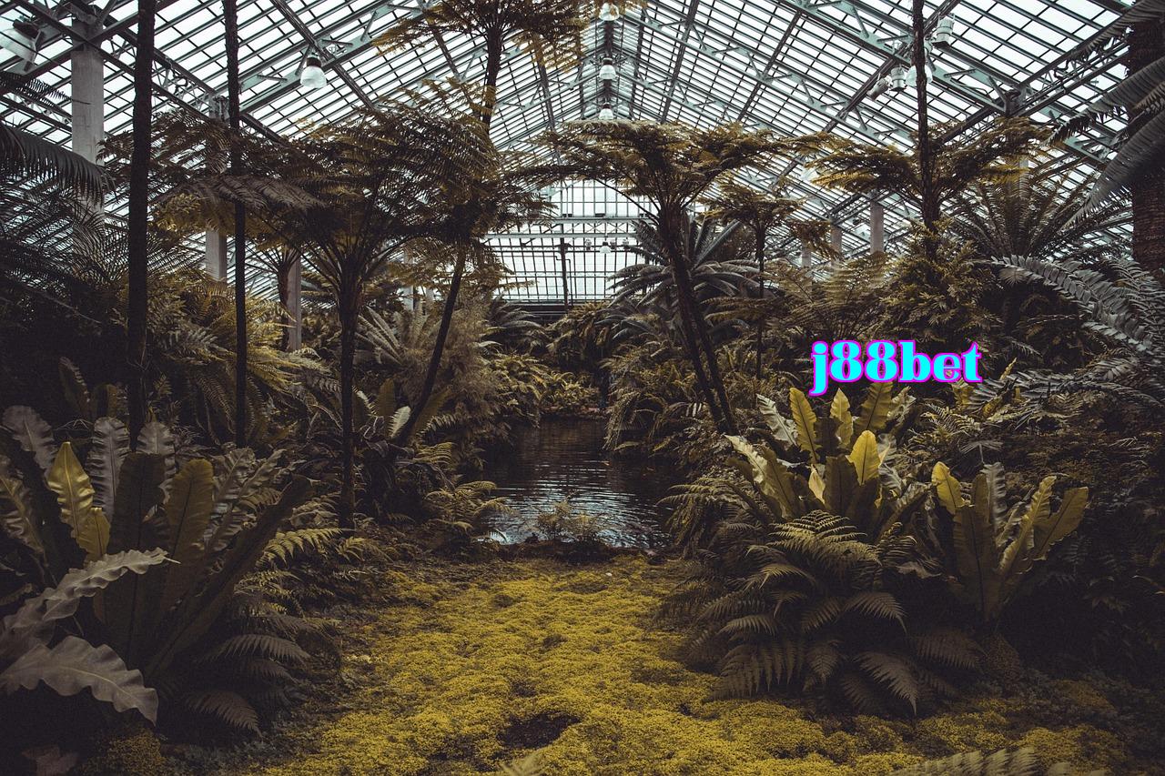 Featured image of post Phát triển Bot QQ dựa trên NapCatQQ và Python - Đặc điểm truyền tham số của NapCatQQ - j88vip1