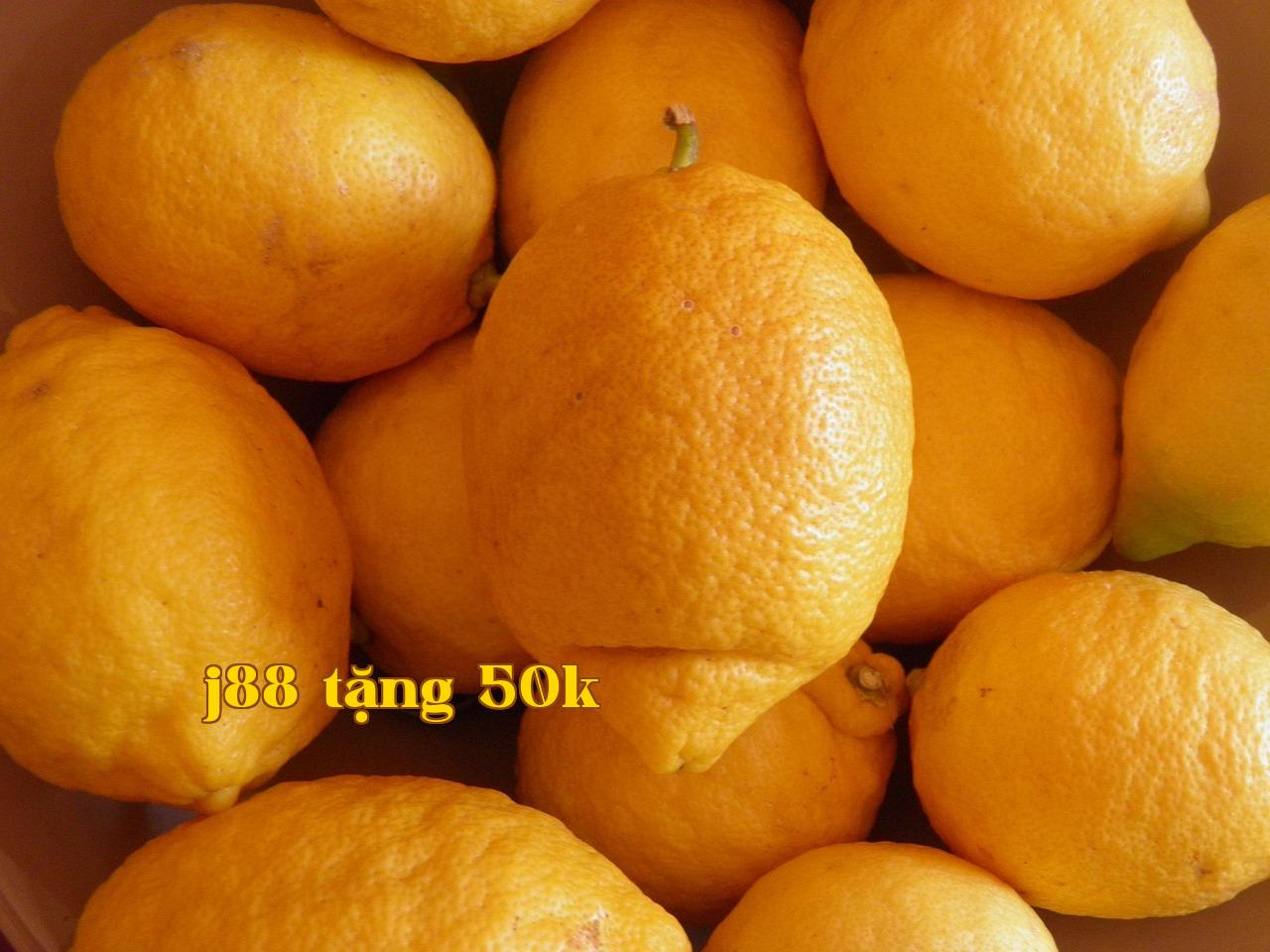 Featured image of post Cách Cắt Ảnh Thành Lưới 3x3 Bằng Python - j88bet